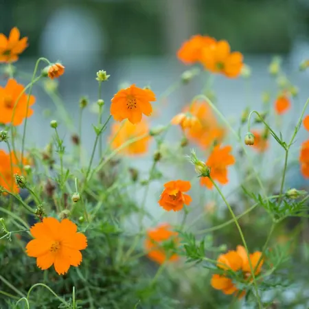 Garden Of Apollo Aparthotel Corinth