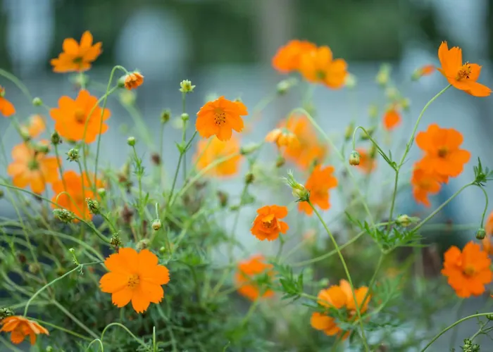 Garden Of Apollo Appart hôtel Corinthe